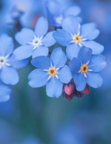 adobestock_240014775.jpeg
