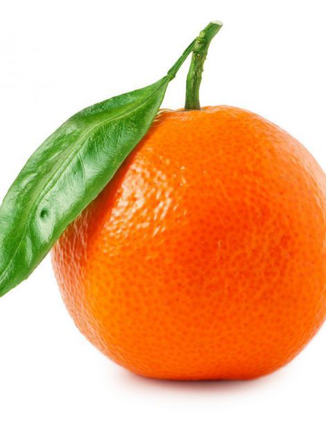 adobestock_98452623.jpeg